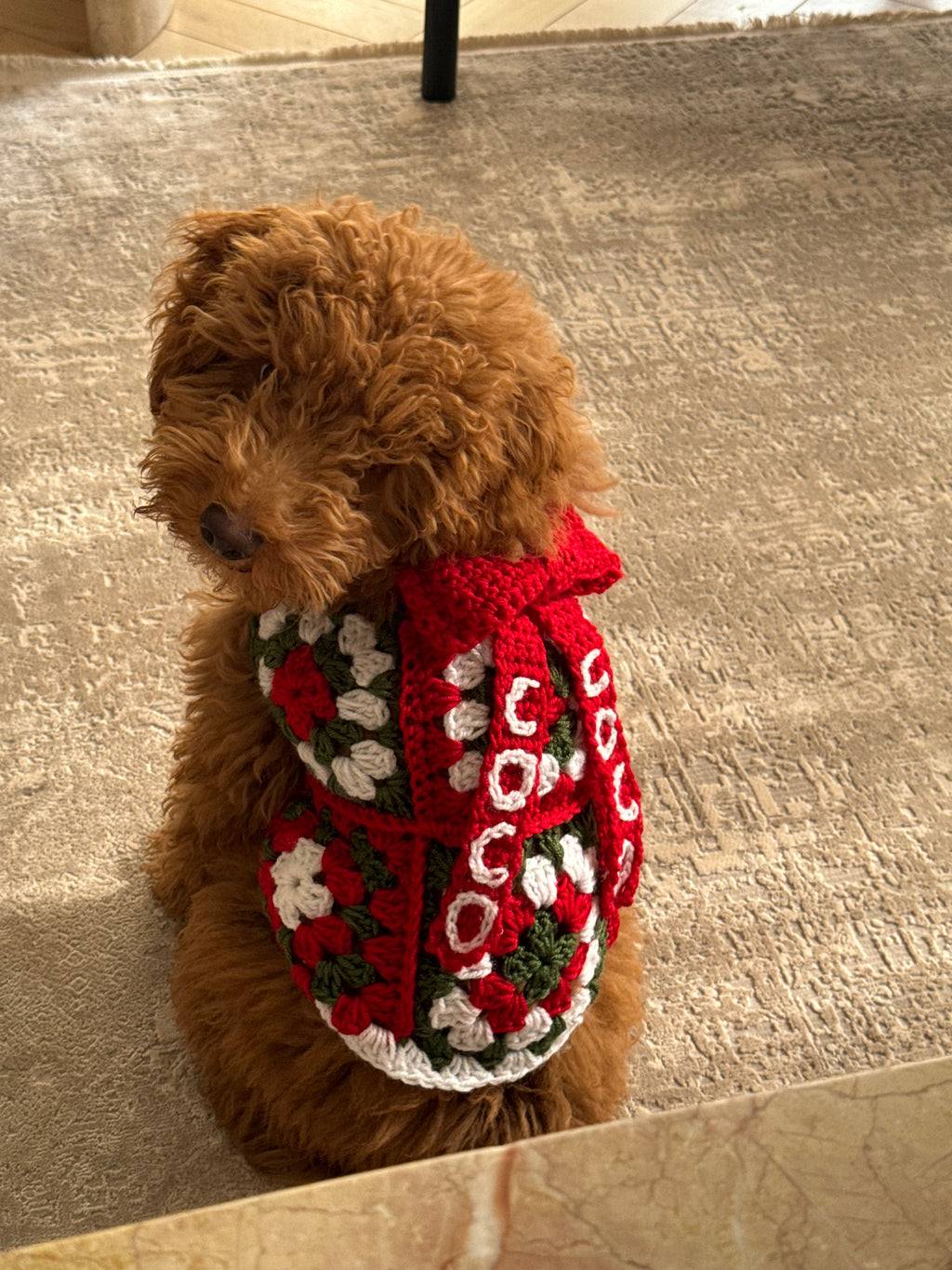 Granny Square Dog Sweater - Customizable