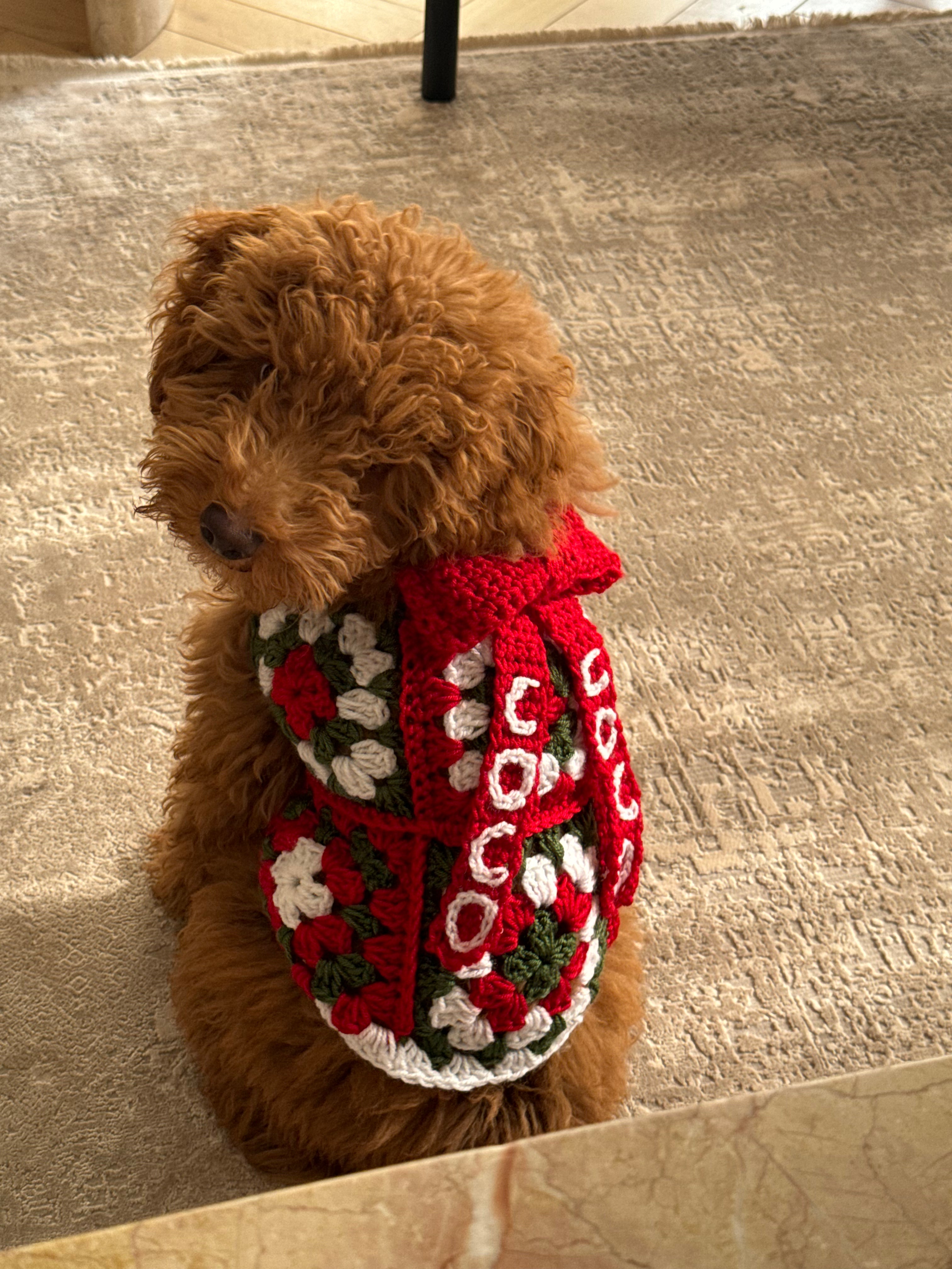 Granny Square Dog Sweater - Customizable